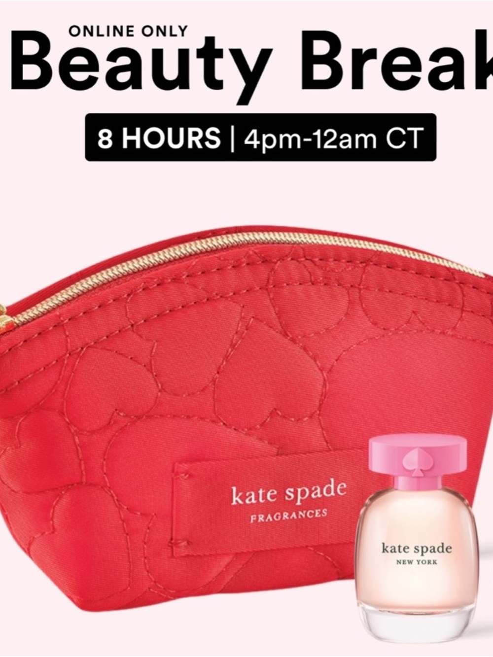 Kate Spade Travel 3 piece set NWT
